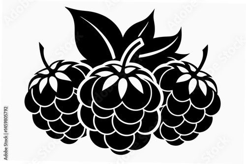 vector illustration of a blackberry