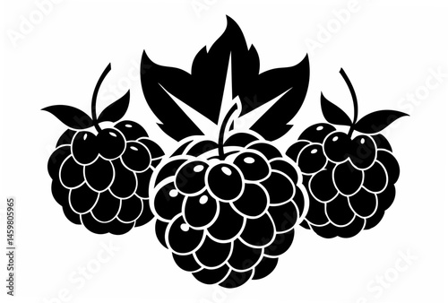 raspberry and blackberry
