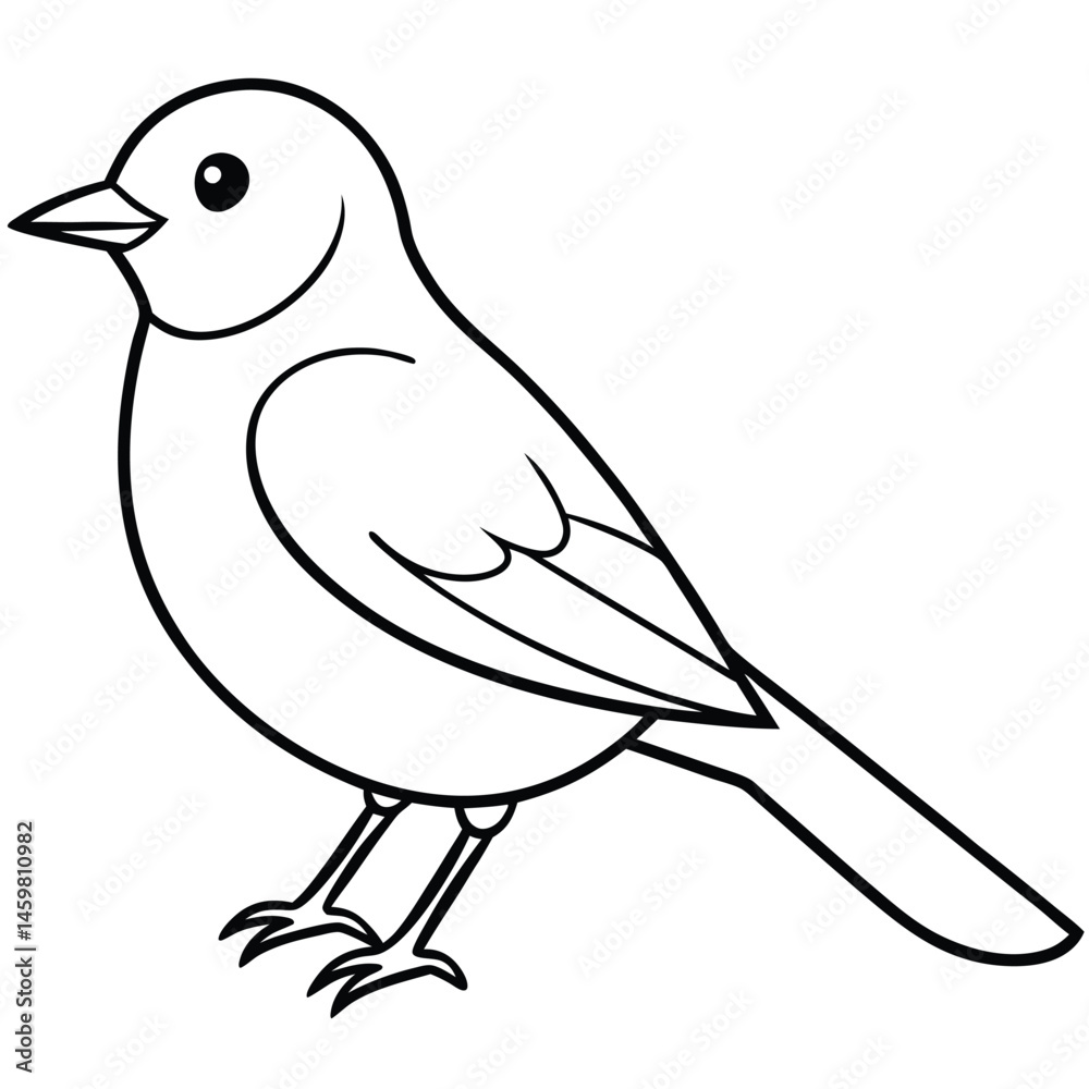 Obraz premium Eastern Bluebird illustration white background