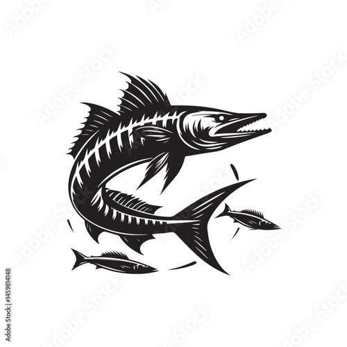 Barracuda vector (2).eps