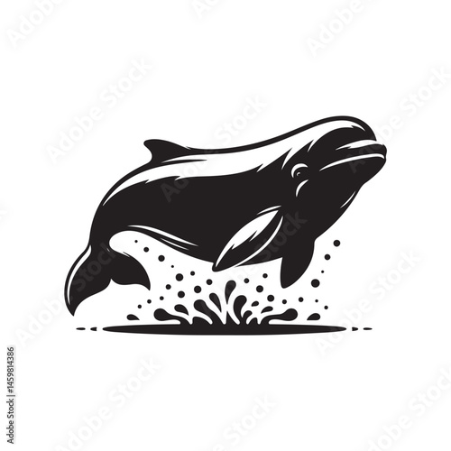 Beluga Whale vector (2).eps