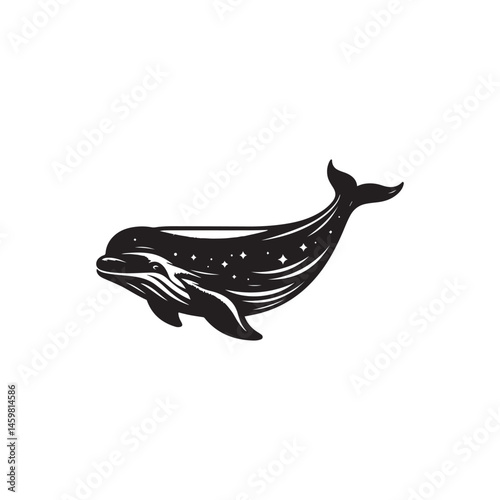 Beluga Whale vector (4).eps
