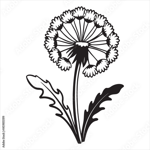 Bright Yellow Dandelion Flower in Bloom Close-Up