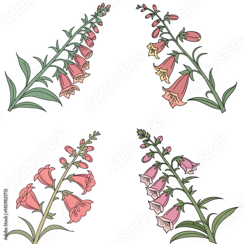 A snapdragon flower icon with a tall stalk and dragon-shaped 
blooms. 
