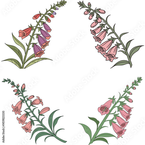 A snapdragon flower icon with a tall stalk and dragon-shaped 
blooms. 