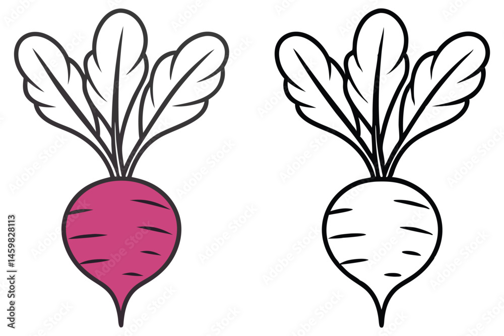 Two stylized beetroots, one pink with color and one black and white, stand isolated Two stylized beetroots, one pink with color and one black and white, stand isolated