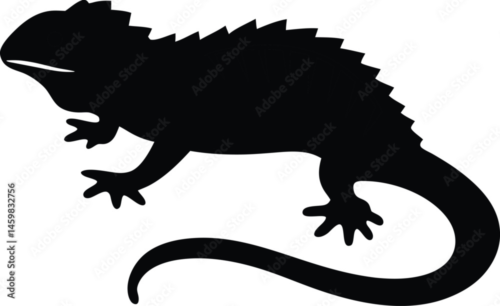Fototapeta premium iguana on white background