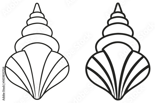Two simple line art seashell vectors display conical spiral and grooved shell design isolated on white background