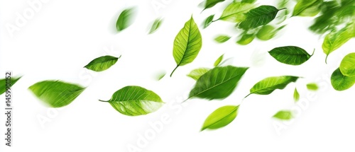Wallpaper Mural Falling Green Leaves: A Breath of Fresh Air Torontodigital.ca