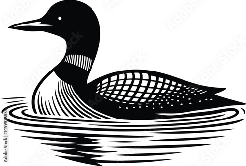 A Black and White Loon Swimming in Calm Water photo
