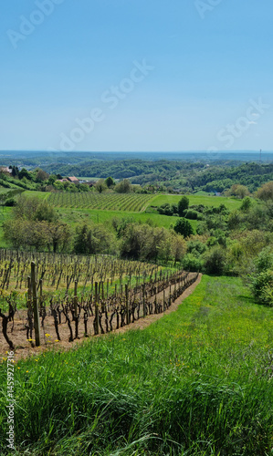 Obraz na płótnie A scenic vista from Gornje Psarjevo looking west captures rolling green hills with vineyards, scattered houses, and distant forests under a bright sky w salonie