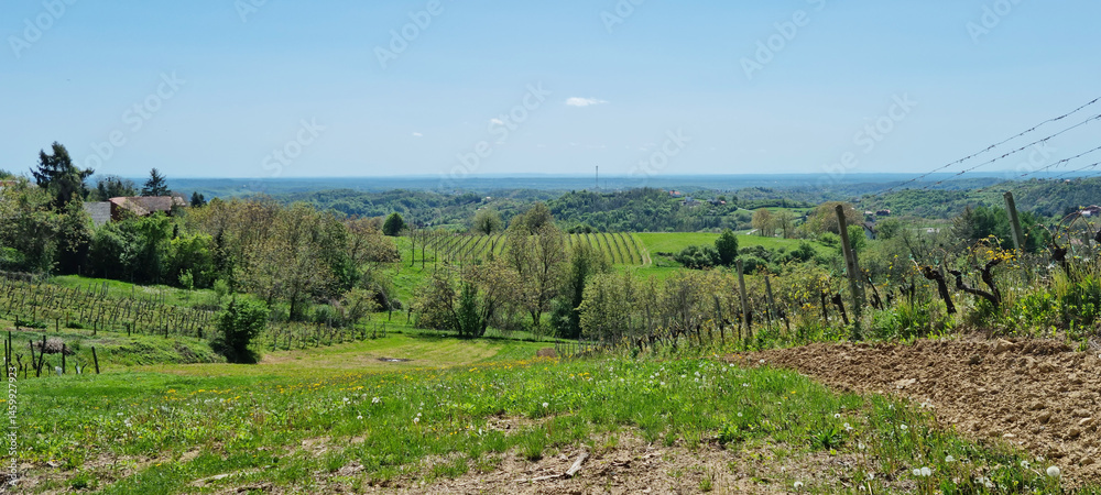 A scenic vista from Gornje Psarjevo looking west captures rolling green hills with vineyards, scattered houses, and distant forests under a bright sky