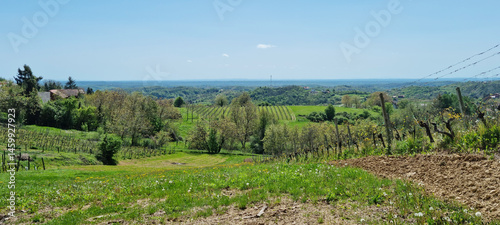 Obraz na płótnie A scenic vista from Gornje Psarjevo looking west captures rolling green hills with vineyards, scattered houses, and distant forests under a bright sky w salonie
