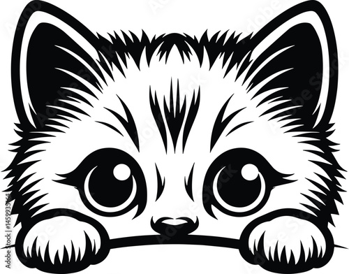 Cute peeking kitten with big eyes and paws