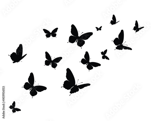 black butterfly flock design