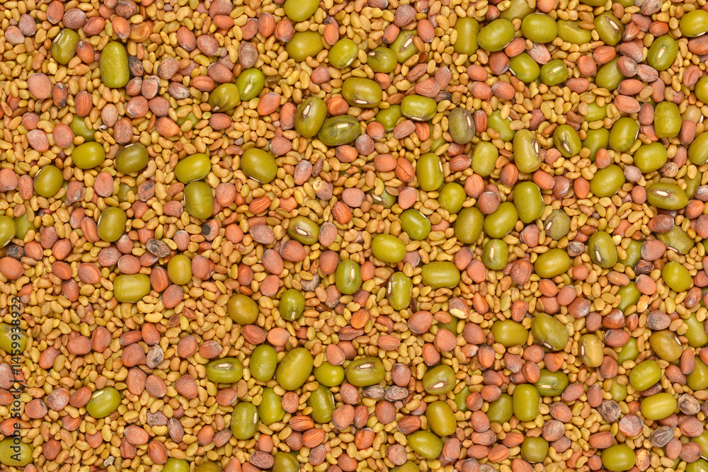 A high-angle shot shows a dense mix of small, tan alfalfa seeds, larger green mung beans, and reddish radish seeds, creating a textured pattern