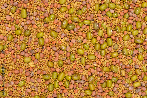 Obraz na płótnie A high-angle shot shows a dense mix of small, tan alfalfa seeds, larger green mung beans, and reddish radish seeds, creating a textured pattern w salonie