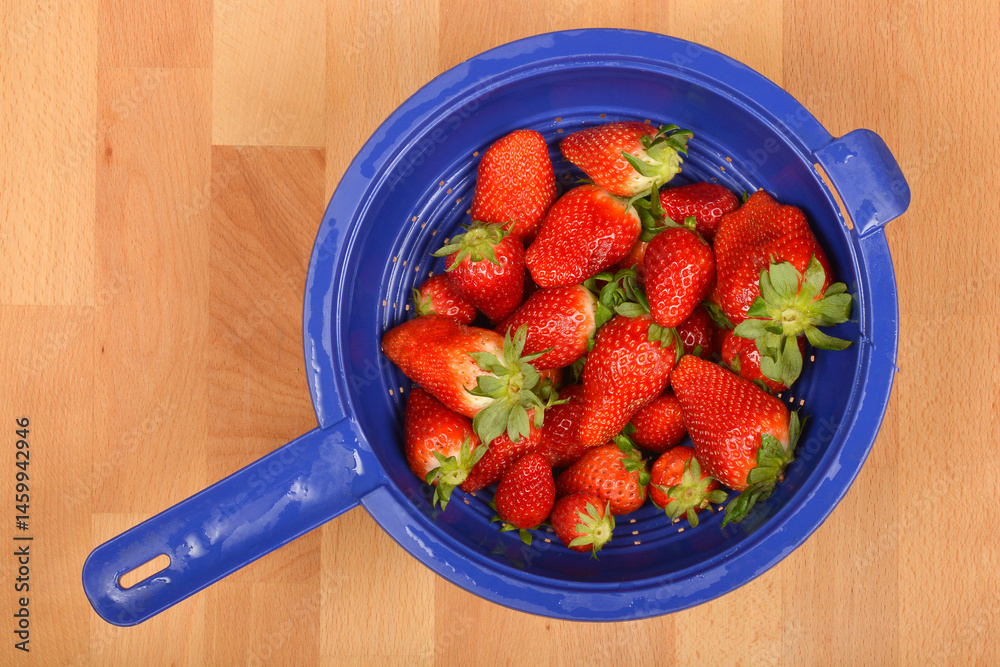 A blue colander filled with fresh red strawberries is placed on a light brown wooden surface