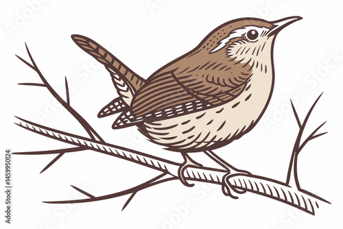 vector illustration of a bird