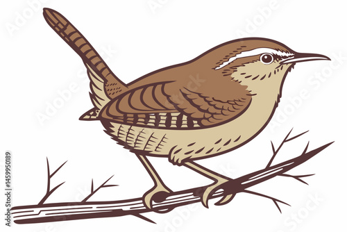 robin on a branch
