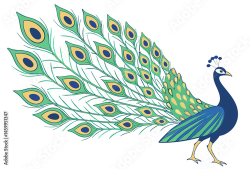 peacock with feather