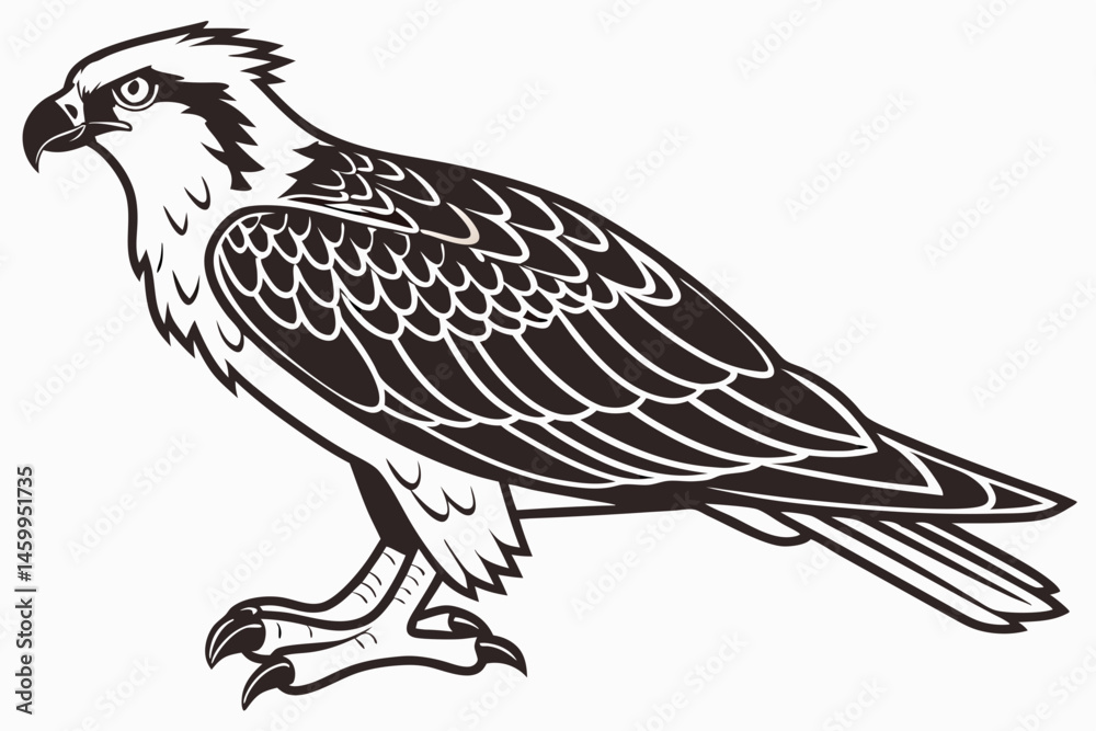 Fototapeta premium eagle on a white background