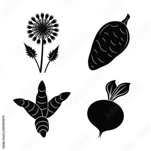 dandelion greens turmeric turnip taro root vegetable health herb garden organic food natural illustration vector drawing