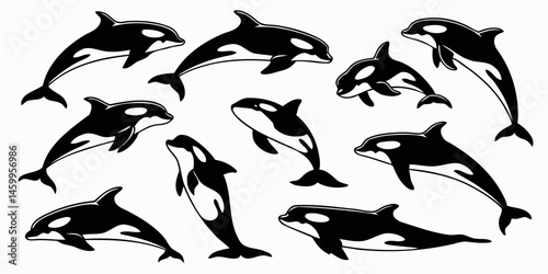 Orca whale vector illustration set, killer whale clip art, marine mammal drawing, black and white sea animal art
