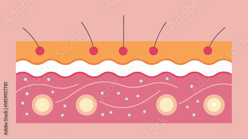 Healing Skin Cells Illustrate skin cells in a healing state after treatment with lines illustrating increased activity and collagen production inspired by the serum.