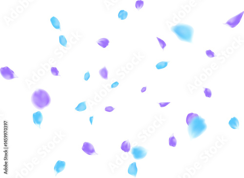 Decoration banner background with blue and purple winding rose petal fun explosion. anniversary, celebration, greeting card
