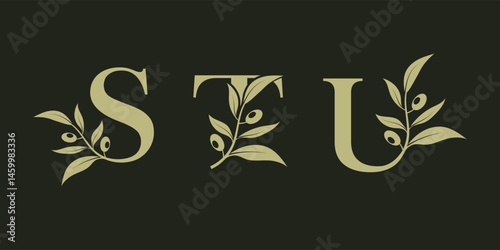 Set of vector logo designs for S T and U with olive leaves