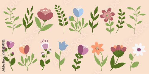 Botanical set of plant elements