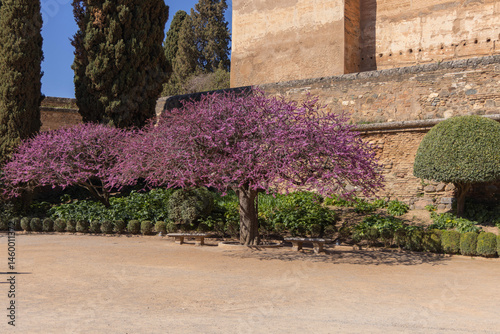 Obraz na płótnie Square of the Cisterns in front of Alcazaba fortress of Alhambra, Granada, Spain, Andalusia w salonie