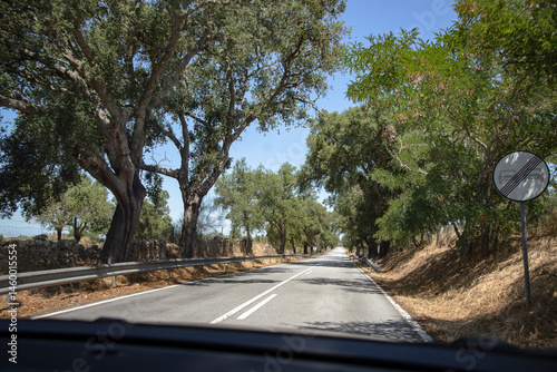 Wallpaper Mural A sunny summer day in Alentejo, Portugal, captured from inside a moving car on a straight rural road lined with trees and dry plains, reflecting the region’s calm and scenic beauty. Torontodigital.ca