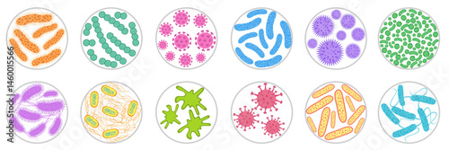 Different types of bacteria, germ and virus.