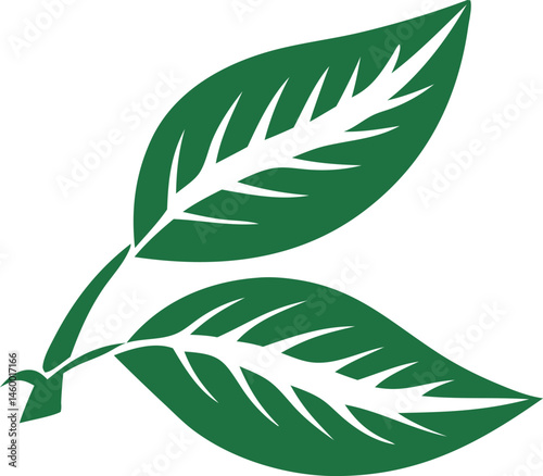 Alternative Medicine Vector Design with Set
