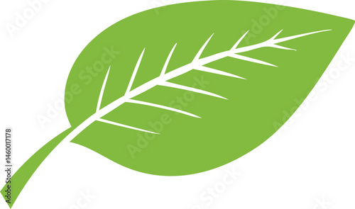 Alternative Medicine Vector Design with Set