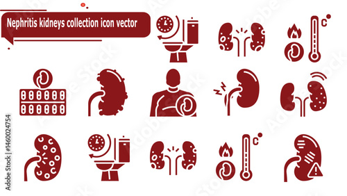 Nephritis kidneys collection icon vector