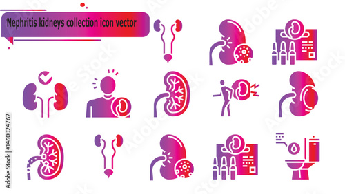 Nephritis kidneys collection icon vector