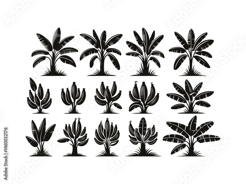 Banana Tree Vector Icon Pack