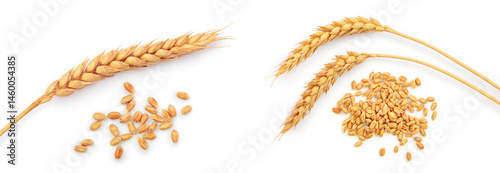 grain and ears of wheat isolated on white background. Top view