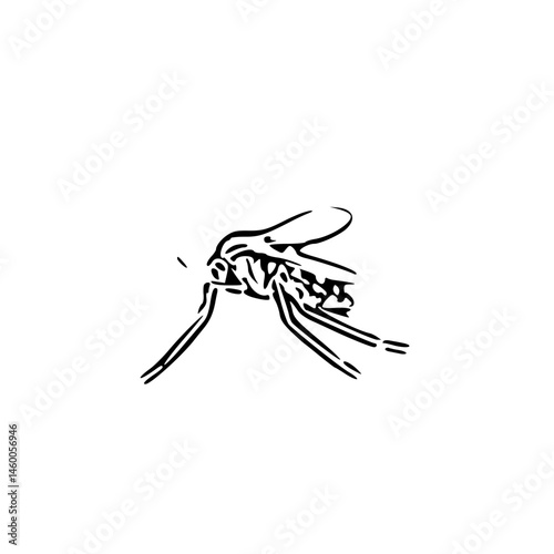dragonfly on white background