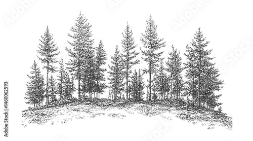 Monochrome stippling forest scene of pine trees and textured ground. Pointillism effect in vintage engraving style with natural landscape composition. Vector illustration.