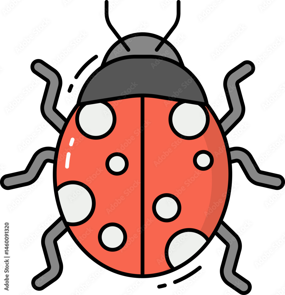 ladybug illustration on a white background    
