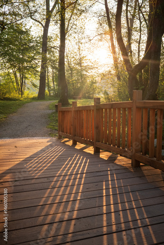 Golden Hour Glow: Sunlit bridge in serene forest landscape with warm light and inviting trail