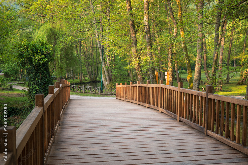 Obraz premium Wooden bridge leading to a lush green forest Tranquil pathway through nature