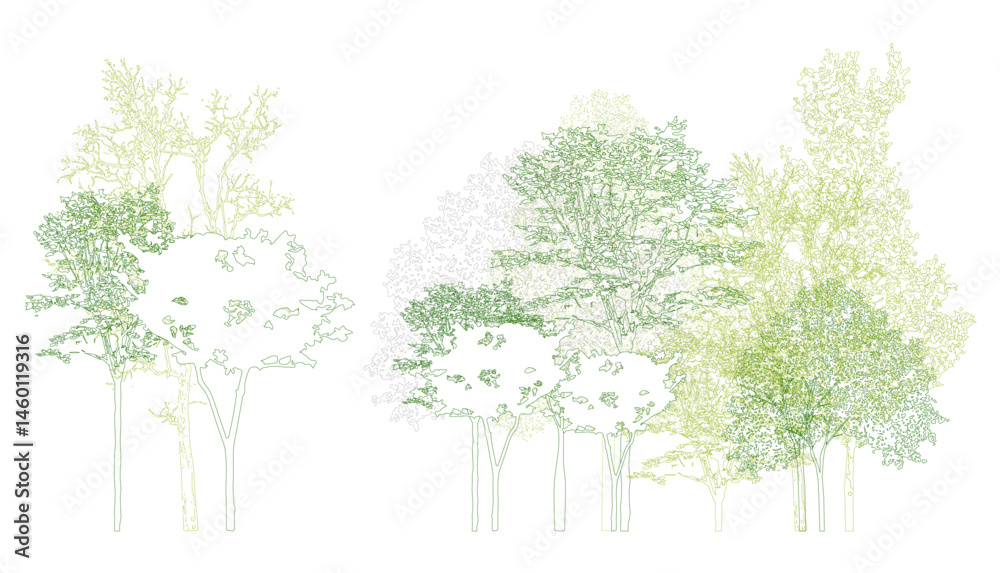 Architectural Drawings, Minimal style cad tree line drawing, Side view, set of section wildlife forest outline symbol for landscape design drawing. Vector illustration in stroke fill in white.