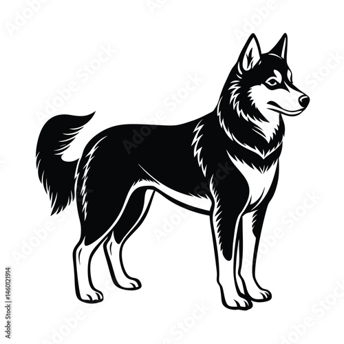 a clean black siberian husky dog vector art silhouette