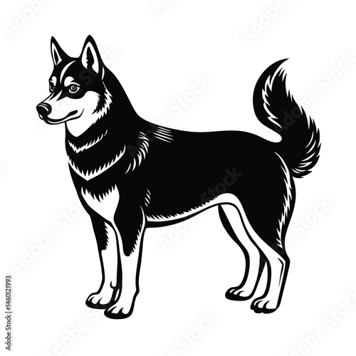 a clean black siberian husky dog vector art silhouette