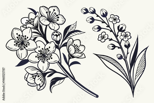 86 Vintage floral illustrations, black and white flower bouquets, detailed botanical drawings, Victorian style flower arrangements, monochrome engraved florals, hand-drawn botanical art, symmetrical f